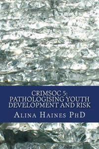 Pathologising Youth Development and Risk