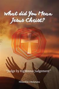 What Did You Mean Jesus Christ?