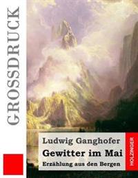 Gewitter im Mai (Großdruck): Erzählung aus den Bergen