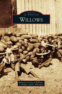 Bokomslag for "Willows"