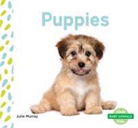 Puppies