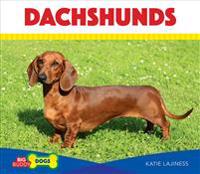 Dachshunds