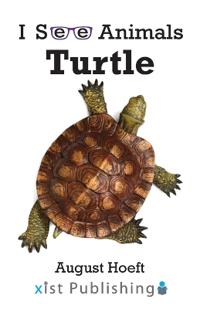 Bokomslag för "Turtle"
