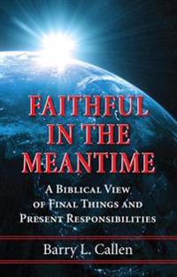 Bokomslag för "Faithful in the Meantime"