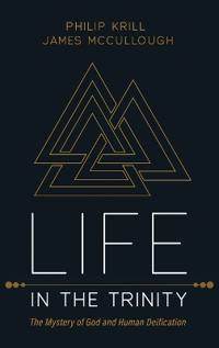 Life in the Trinity