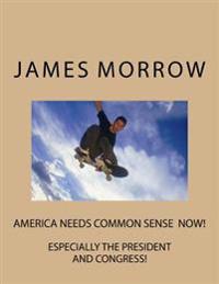 america needs common sense now: especially the president and congress