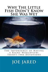 Why the Little Fish Didntt Know She Was Wet