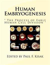 Human Embryogenesis