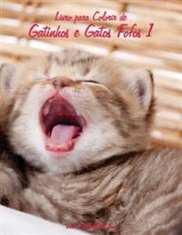 Livro para Colorir de Gatinhos e Gatos Fofos 1