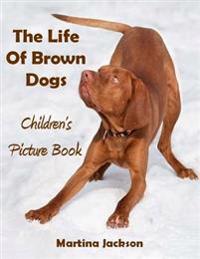 The Life Of Brown Dogs