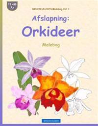 BROCKHAUSEN Malebog Vol. 1 - Afslapning: Orkideer: Malebog