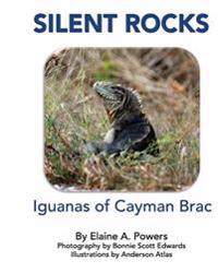 Silent Rocks