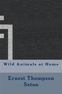 Wild Animals at Home