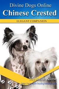 Chinese Crested