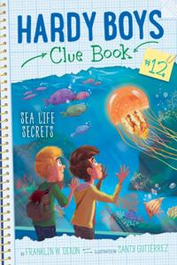 Hardy Boys Clue Book