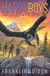 Hardy Boys Adventures