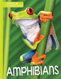 AMPHIBIANS