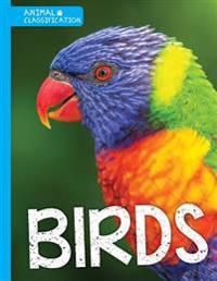 BIRDS