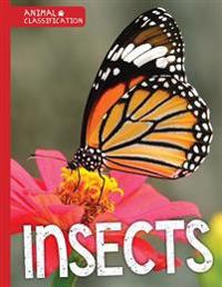 INSECTS