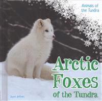 Arctic Foxes of the Tundra