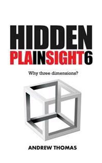 Hidden in Plain Sight 6