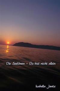 Die Seelöwen - Du bist nicht allein (Buchcover Edition 1)