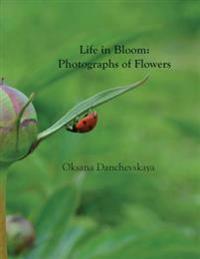 Life in Bloom: Photographs of Flowers