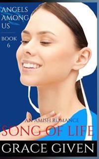 An Amish Romance: Song Of Life
