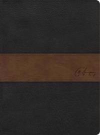 RVR 1960 Biblia de estudio Spurgeon, negro/marrón símil piel