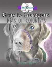 Gray to Gorgeous: Pets of Colorists