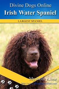Irish Water Spaniel