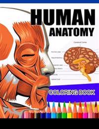 Human Anatomy Coloring Book