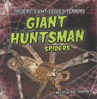 Giant Huntsman Spiders