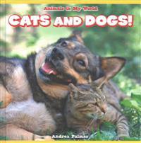 Cats and Dogs!