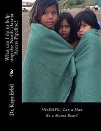 #NoDAPL: Can a Man Be a Mama Bear?: What can I do to help stop the North Dakota Access Pipeline?