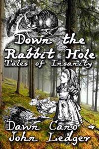 Down the Rabbit Hole: Tales of Insanity