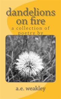 dandelions on fire: a collection of poetry by