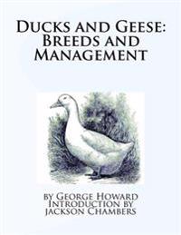 Ducks and Geese