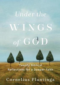 Under the Wings of God – Twenty Biblical Reflections for a Deeper Faith
