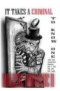It Takes a Criminal to Know One: How the Inspector General and I are One and the Same