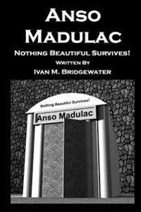 Anso Madulac - Nothing Beautiful Survives