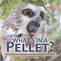 Bokomslag för "What's in a Pellet? Owl Digestive System and Dissecting Owl Pellets Grade 6-8 Life Science"