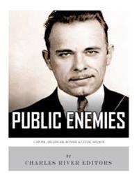 Bokomslag for "Public Enemies: Al Capone, John Dillinger, Bonnie & Clyde, and Baby Face Nelson"