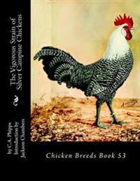 The Vigorous Strain of Silver Campine Chickens