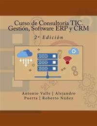 Curso de Consultor�a TIC. Gesti�n, Software ERP y CRM