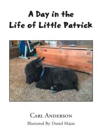 Day in the Life of Little Patrick