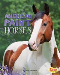 American Paint Horses