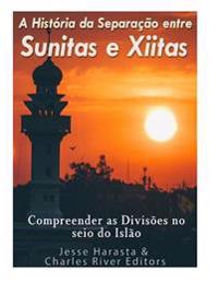 A Historia Da Separacao Entre Sunitas E Xiitas