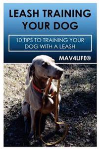 Leash Training Your Dog: 10 Tips to Training Your Dog with a Leash