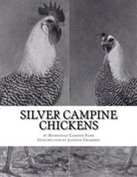 Silver Campine Chickens: The Vigorous Strain of Silver Campine Fowl